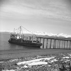 Jack Anderson's power barge, Lois Anderson, at Homer Spit Dock, April 3, 1948 (Photographer, Steve McCutcheon).
