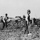 Frank Reed and others, clearing a fire break at the Anchorage "Park Strip," 1917.