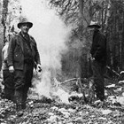 Brushing out the Alaska Railroad survey line, 1920.