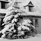 Clark and Marjorie "Midge" Andresen's final home in Anchorage, 1006 G Street.