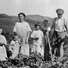 The Bagoy family at their farm, Flat City, Alaska, 1916.