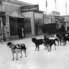 The Pioneer Laundry, 739 4th Avenue, Anchorage, ca. 1920s.