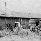 The Enatti cabin at Jonesville, Alaska, ca. 1918.