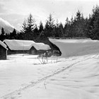 Erickson mine at Crow Creek, Alaska,  1965.