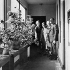 The "Hallway Geranium Garden" above the First National Bank of Anchorage (individuals not identified).