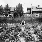 Wanda Gelles in her backyard garden, 1938.