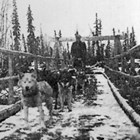 Carl Lottsfeldt mushing with dog team, Ophir to Takotna, Alaska, ca. 1925.