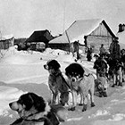 At Susitna Station, enroute to Anchorage, Alaska, 1919.