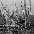 Clearing land on the Sperstad homestead, 1926.