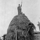 Haying, ca. 1940. Anna Sperstad is atop the pile.