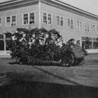An ornately decorated 1919 Labor Day parade float passes by the Lathrop Building in downtown Anchorage. The first floor of the building was built in 1915; the second floor was added in 1916-1917. The first floor was designed to hold five businesses; the second floor included apartments and professional offices. From time to time Austin E. "Cap" Lathrop lived in one of the apartments.